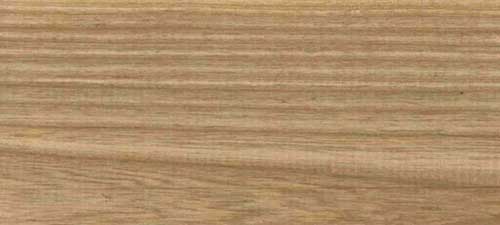 Ash wood species