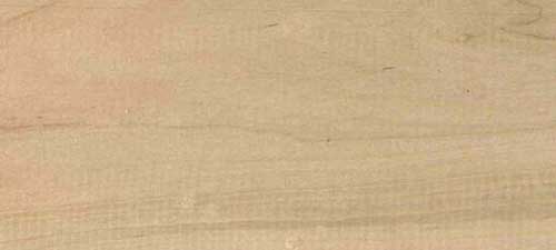Hard Maple wood species