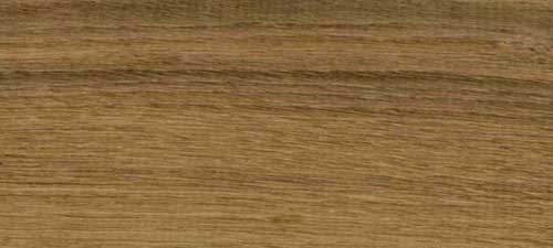 White Oak wood species